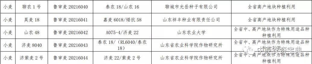 11月26日,山东省农业农村厅官网发布通告,由山东农业大学选育的山农48