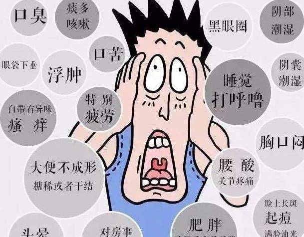 体内湿气重者,主要因恶心,呕吐,脘腹胀满,腹泻,小便不利,水肿,黄疸