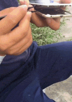搞笑gif趣图:都有一个当挖机师父的梦想_约翰_汤姆