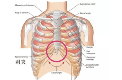 剑突下不适平常胸骨部位发生轻微的疼痛,在进食时尤其是进热食时更加
