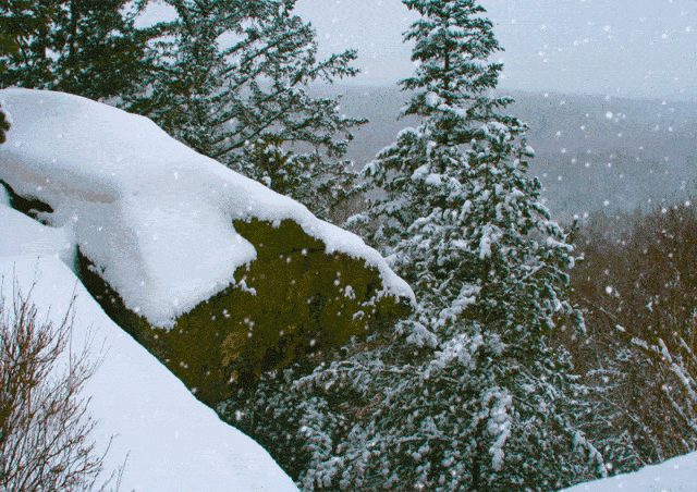 时值大雪门窗防寒技能getoticce