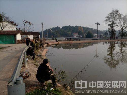 成都简阳市雷家镇开展第二届钓鱼活动