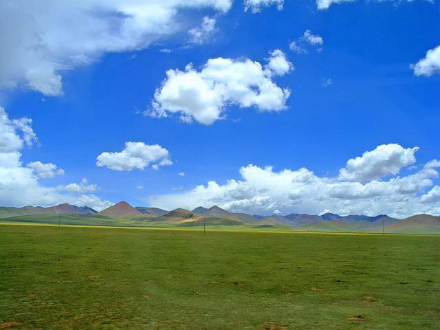 西藏草地面积为全区面积最大地类天然牧草地占比逾85