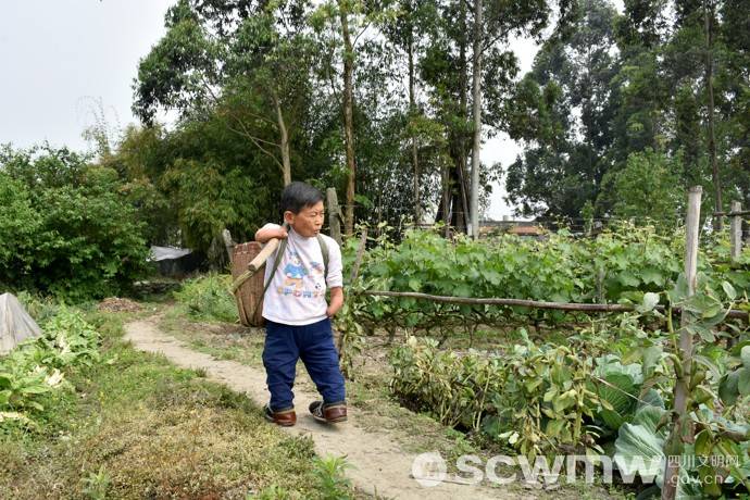 残疾孝女蔡东凤跪行70年无手无脚独自照顾108岁母亲