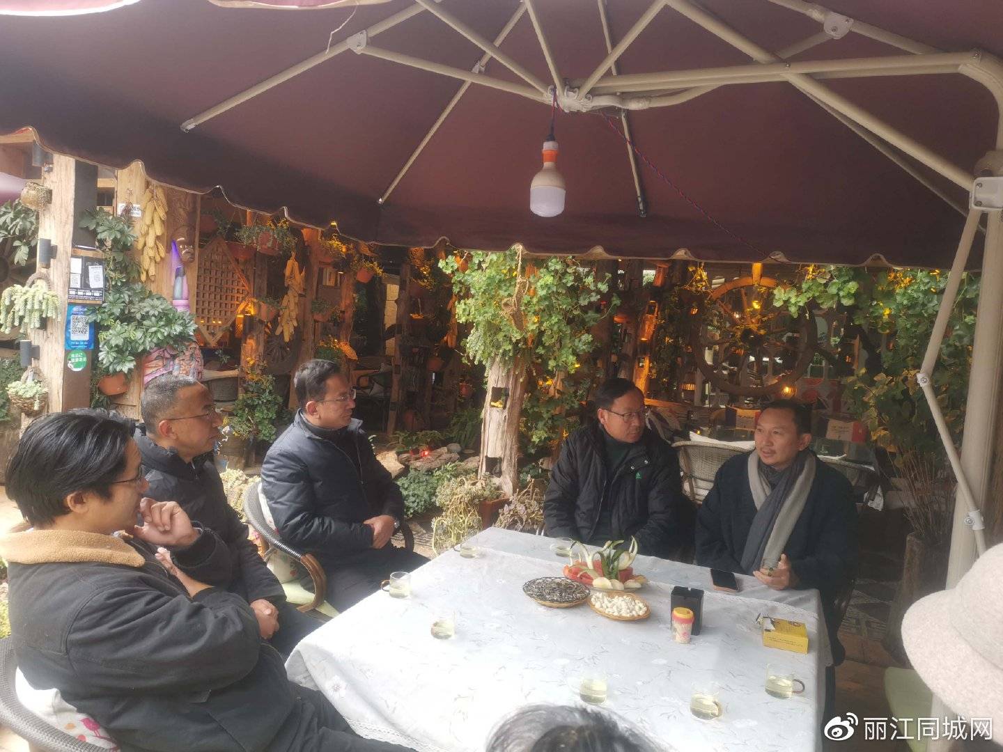 樱花屋金表示坚持营业 旅游的春天一定会到来_丽江市_牟鑫_发展