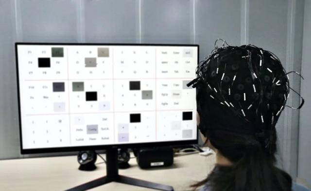 近日,天津大学医学工程和转型医学研究所,天津脑科学研究中心,教育部