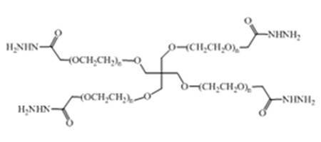 四臂的每个末端都连接有酰肼(conhnh2)基团和一个季戊四醇芯
