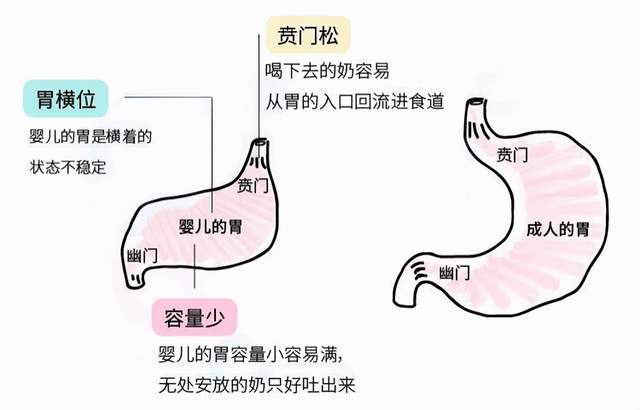 宝宝爱吐奶,多是喂养方法不对,这4个环节出了错,看你中招了吗