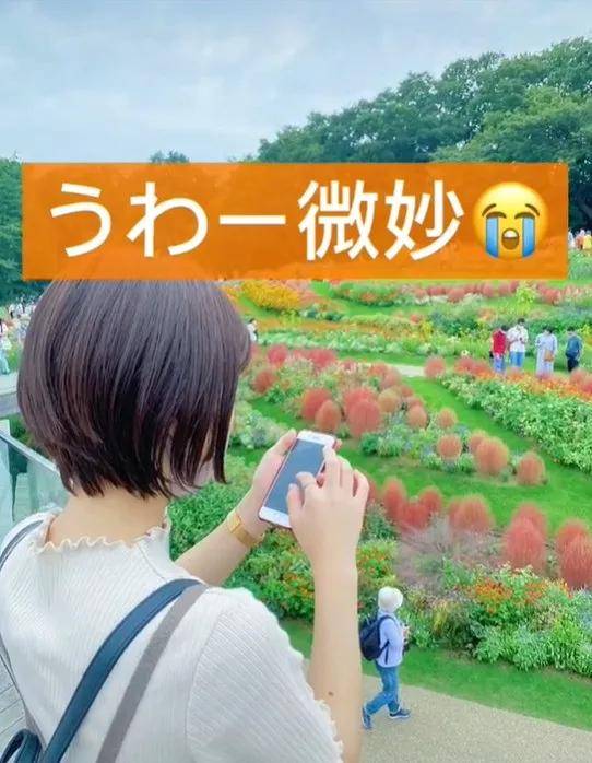 部手机_照片_全景模式