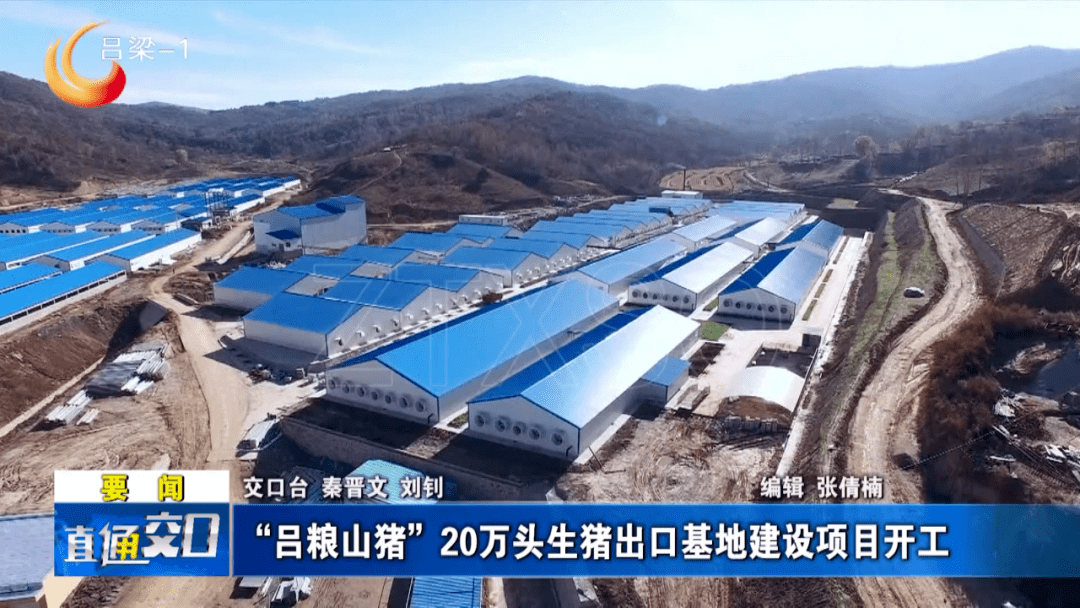 交口"吕粮山猪"20万头生猪出口基地建设项目开工_产业_刘惠民_刘钊