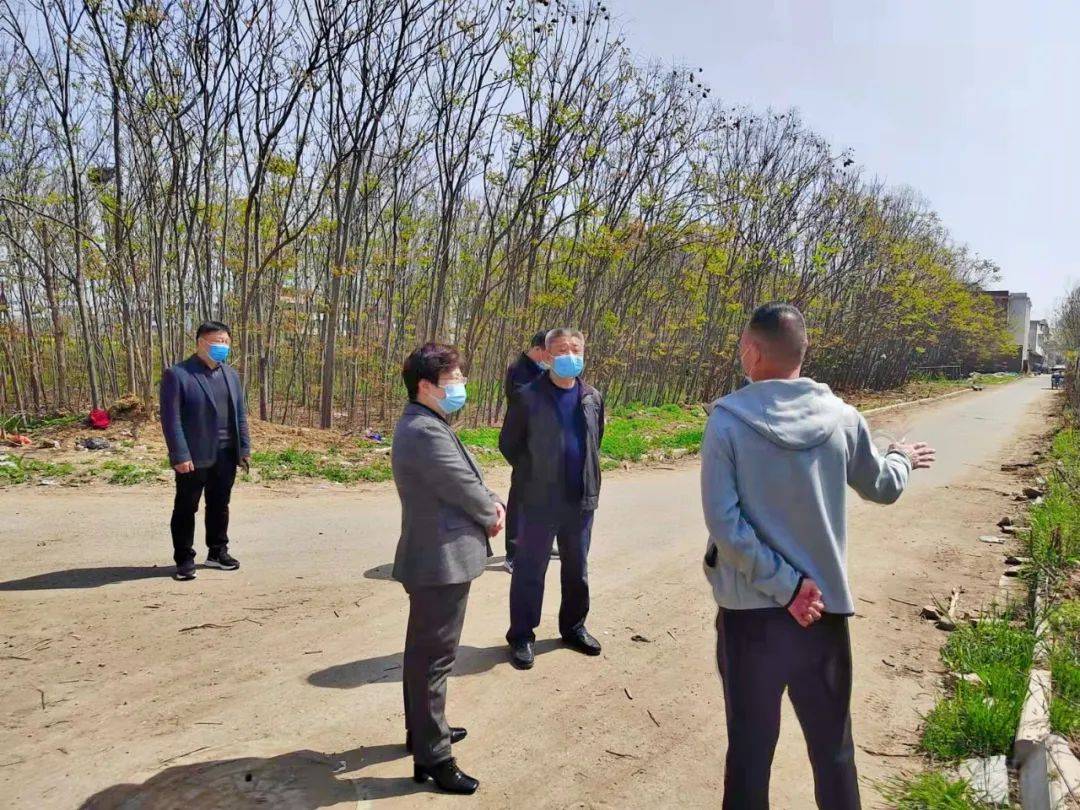 闫庆吉一行深入古城街道调研万里物流园二期项目建设工作_邓州_部门