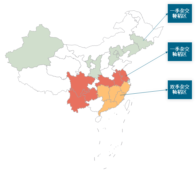 中国杂交水稻种子行业发展趋势分析与未来前景预测报告(2022-2029年)