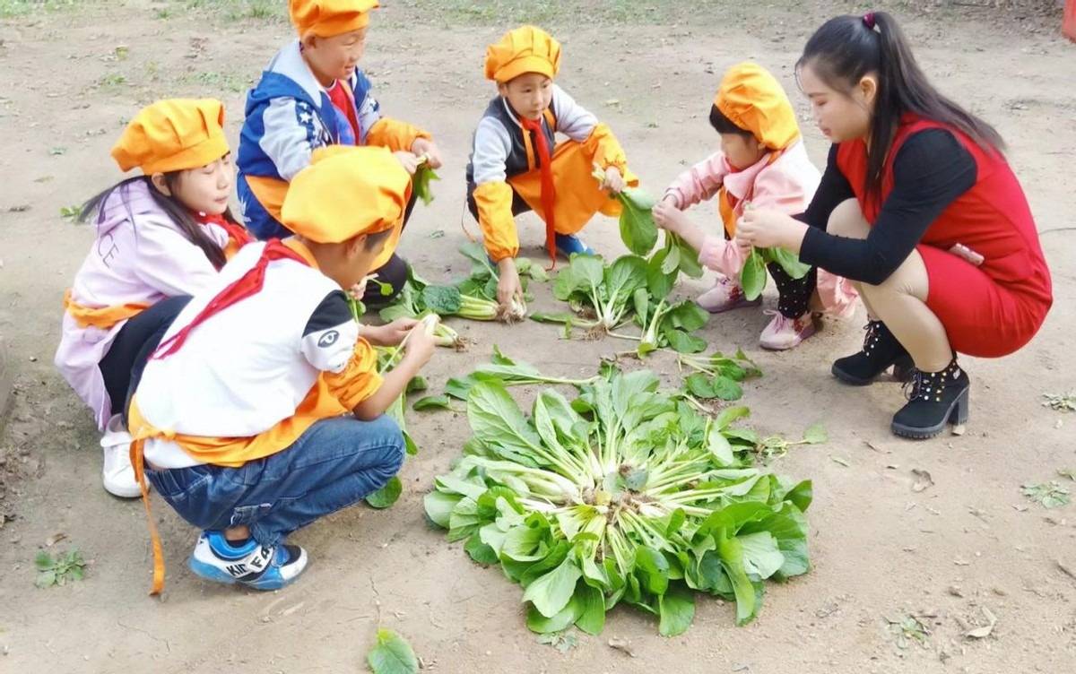 饭渣宝宝遵循＂三不两要＂,轻松把＂吃饭＂这件事,还给孩子自己