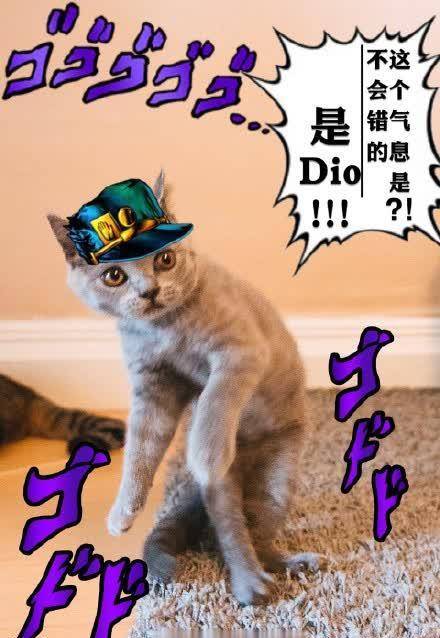 jojo网友说自家的猫咪学会了jojo立dio的身影浮现了