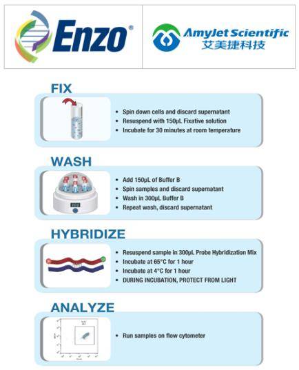 enzolifesciences艾美捷hpve6e7检测试剂盒说明书