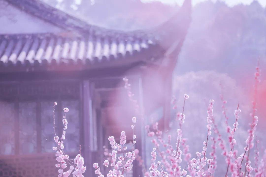 4月最佳旅行地榜单出炉 - 看到第一个我就忍不住