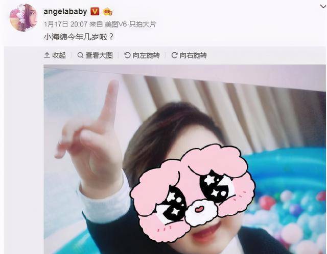所以小海绵的真实长相大家都不得而知了.