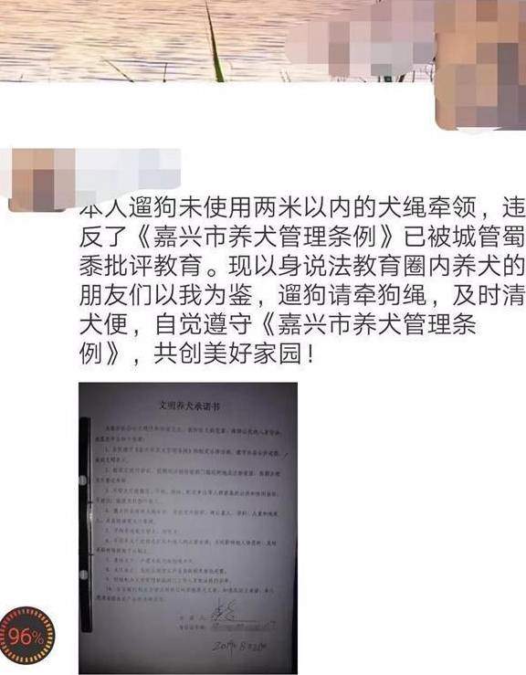 "本人遛狗未使用两米以内的犬绳牵领,违反了《嘉兴市养犬管理条例》已