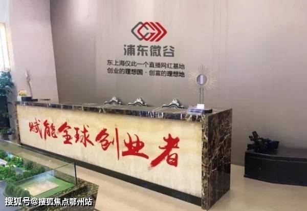 浦东微谷浦东微谷简直太牛了浦东微谷火了