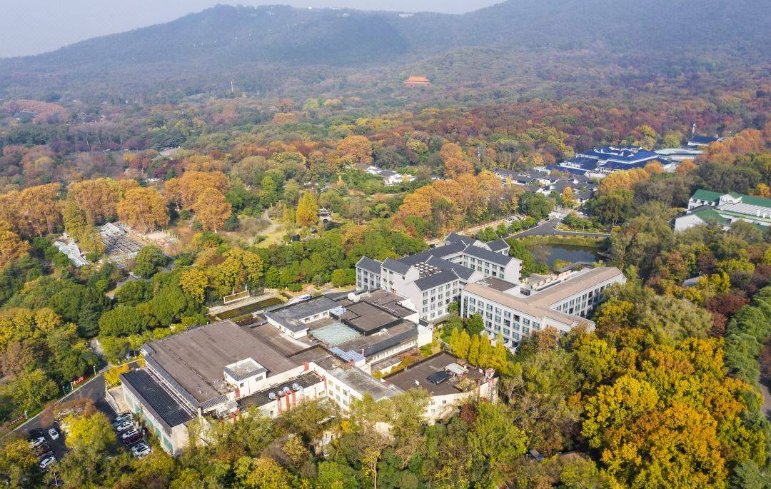 南京这个藏在紫金山的小众特色活动场地融合了代美学和实用性