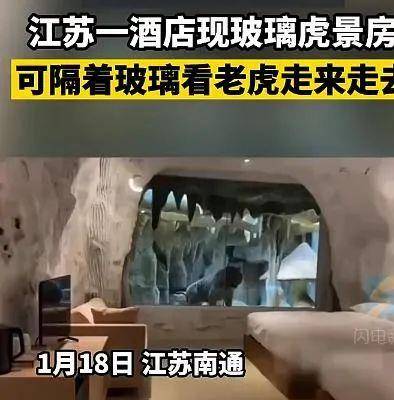 不少网友对与老虎只隔着玻璃的"虎景房"的住宿安全,动物福利提出质疑.