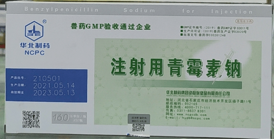 母牛产后发热治疗_子宫_溶液_症状