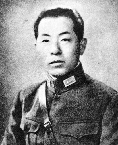 1929年少帅张学良为何处决杨宇霆胡适曾言此人不死东北不失