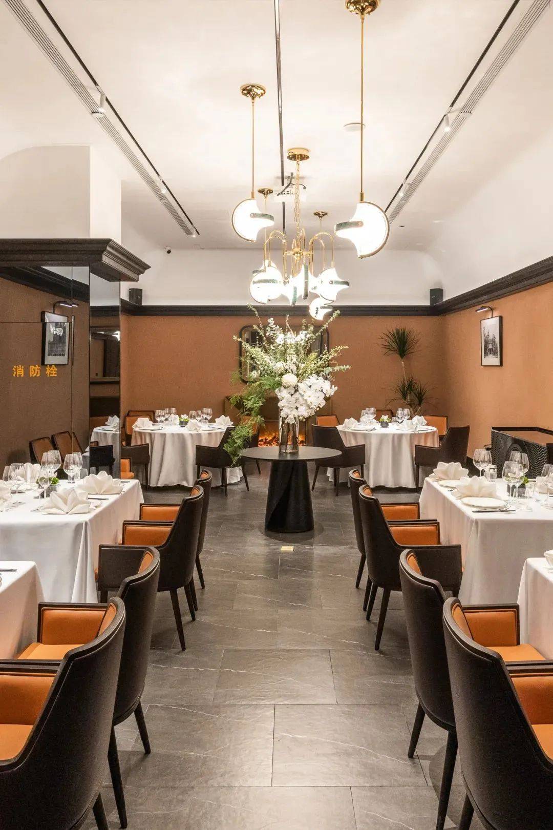 ��ħ��Ħ������� 2022 BEST 50���ذ�������