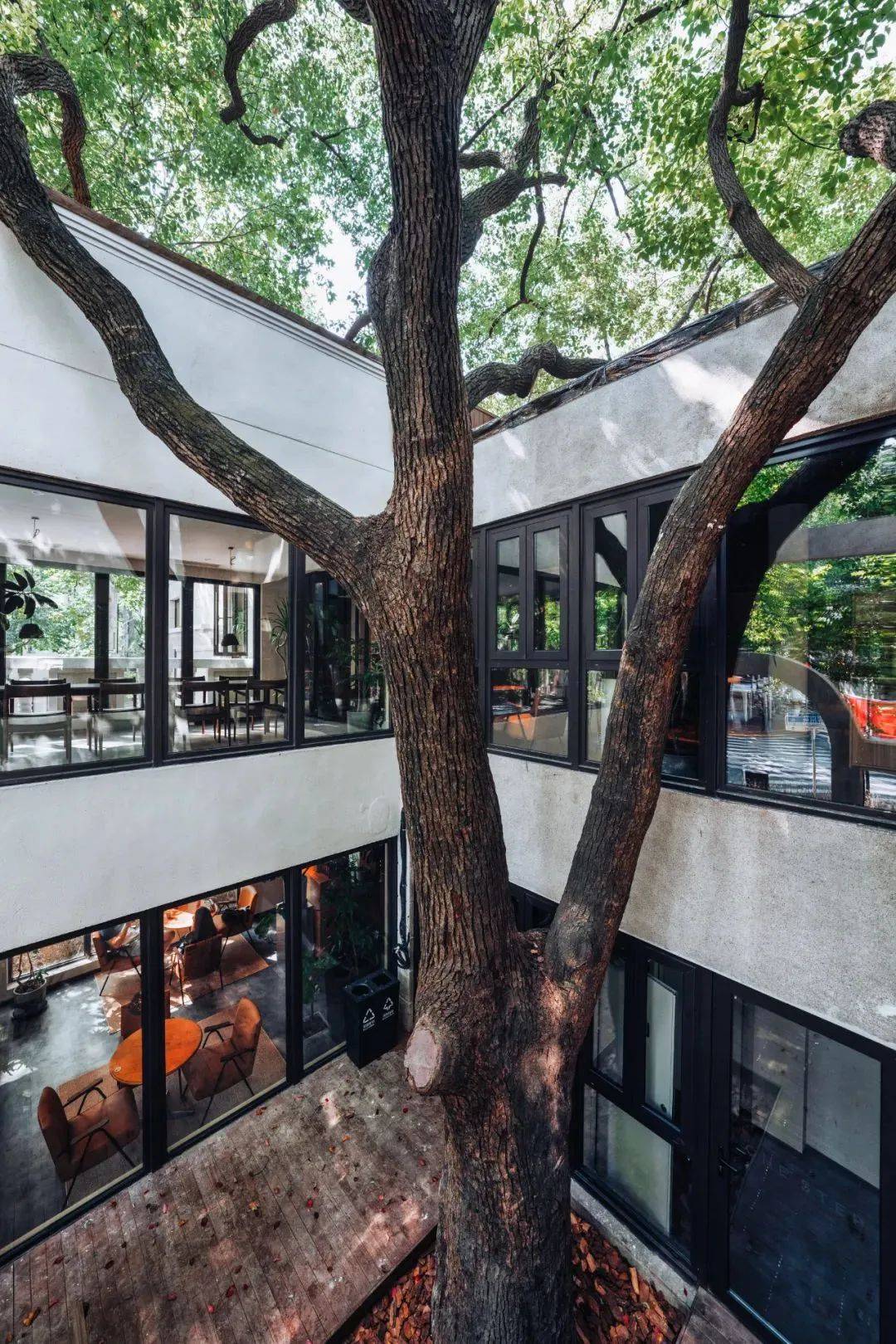 ��ħ��Ħ������� 2022 BEST 50���ذ�������