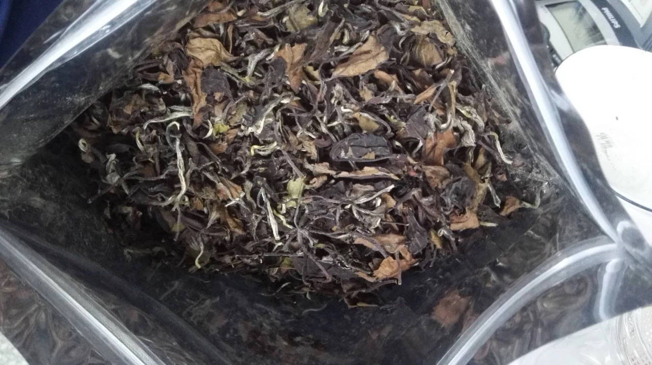 原创
            白茶饼怎么买才不踩雷?看过了数百款做旧茶,发现它们有4大特征8 原创
            白茶饼怎么买才不踩雷?看过了数百款做旧茶,发现它们有4大特征8