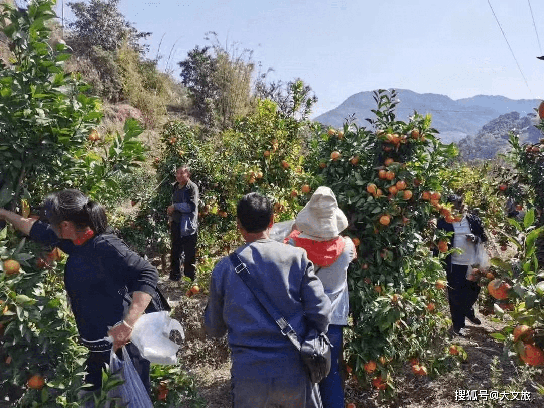 云南临沧:元旦假期接待旅客20.9万人次 同比增长68.35%