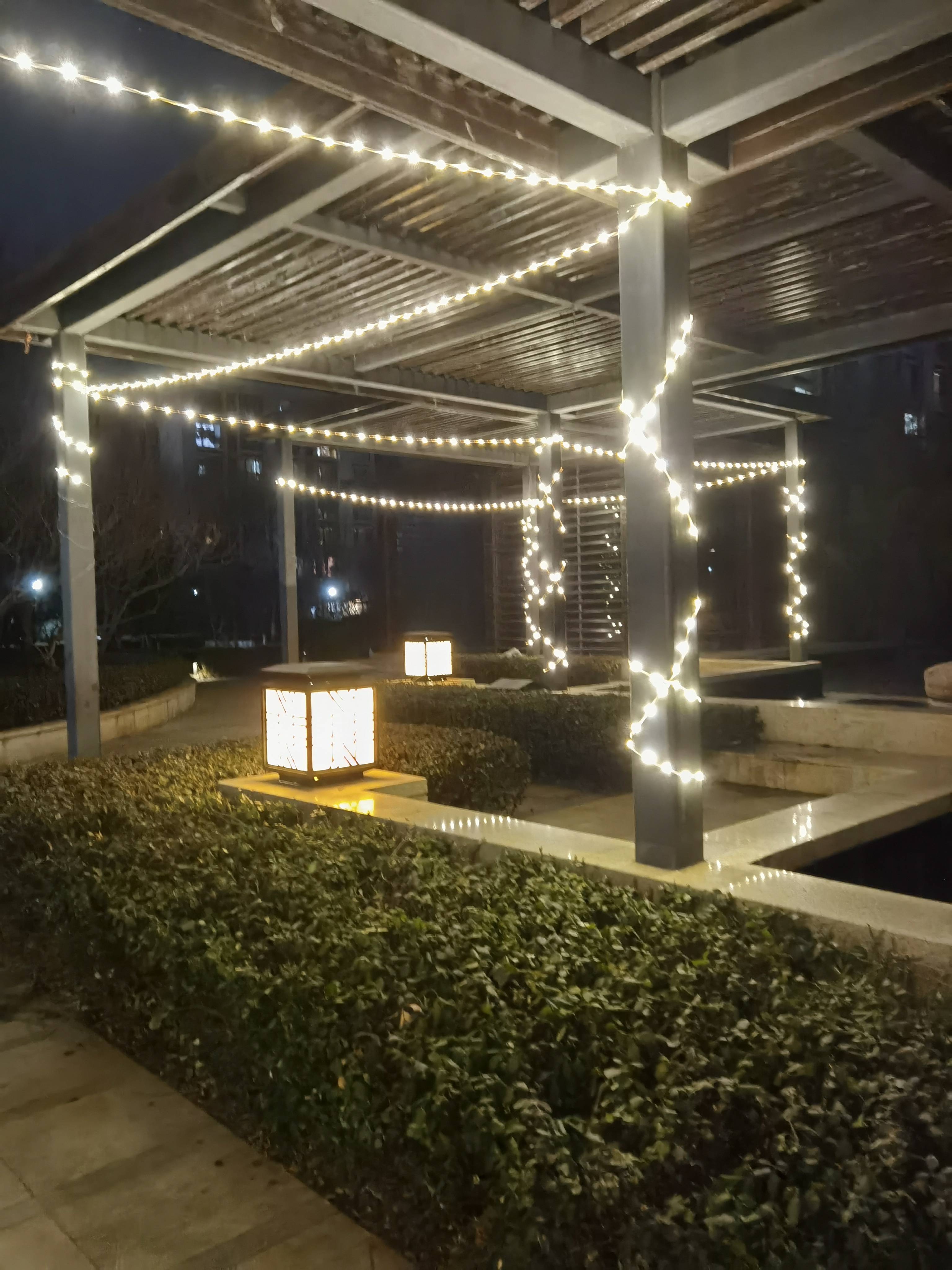 ����Ϊ֤��2023������Ԥ�⣬�������ʱ���ٻ�ͷ����