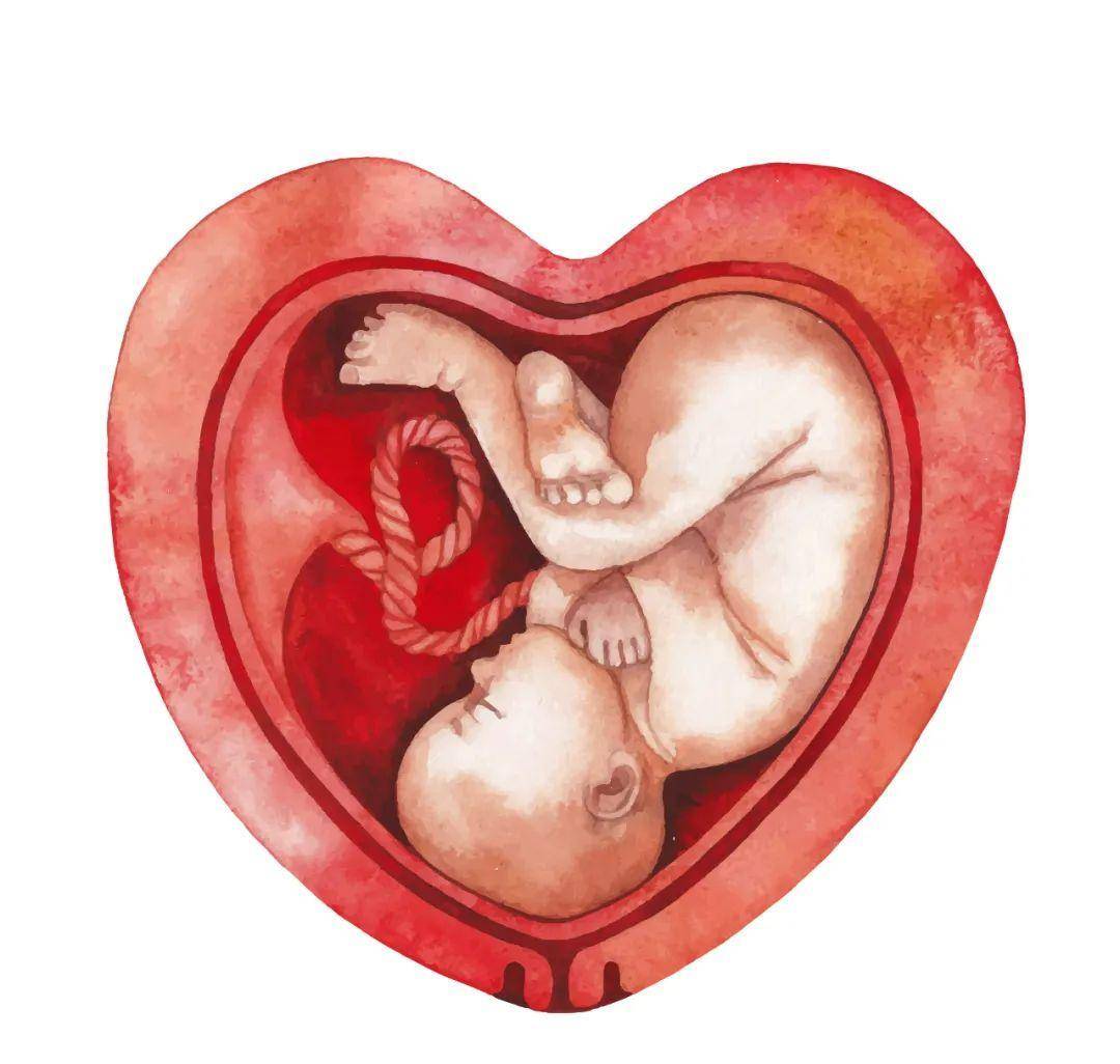 梦境与现实，解开梦见来月经是否为怀孕征兆的迷雾