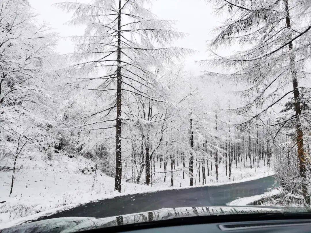 【曾家山】曾家山绝美雪景来袭，请查收！