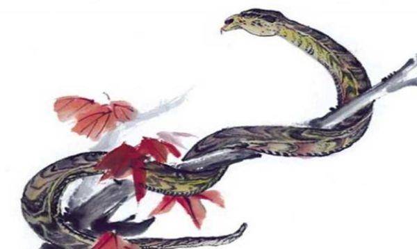 周公解梦之谜，梦遇相爱的雌雄巨蟒——探索潜意识中的深层寓意