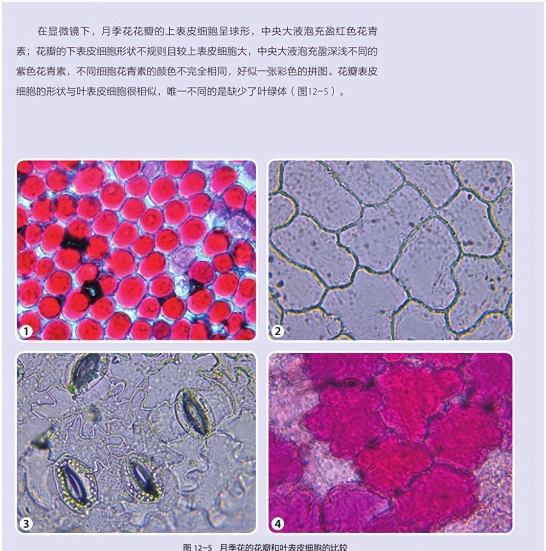 那个国庆假期，带娃坐上微不雅星球号动身，一路来感触感染科学之美吧