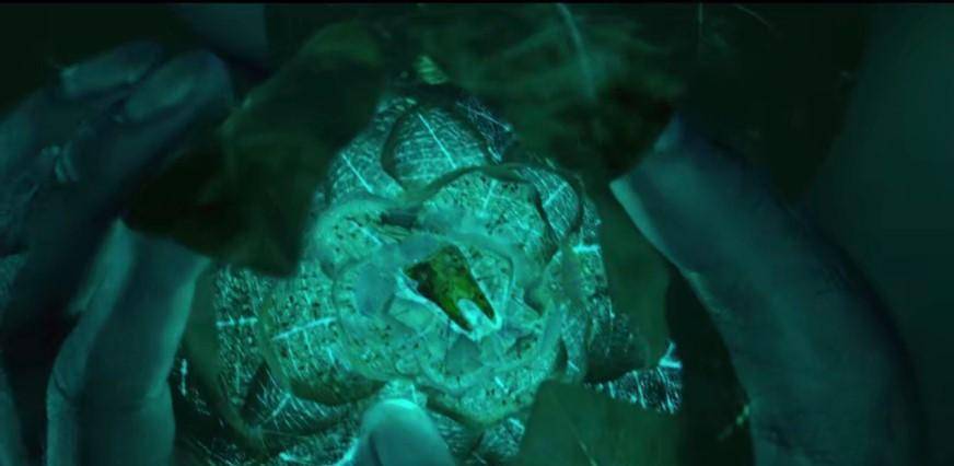 ��Ӱ�������ɵ����Ư���������������֮�䣬�������ʲô ...