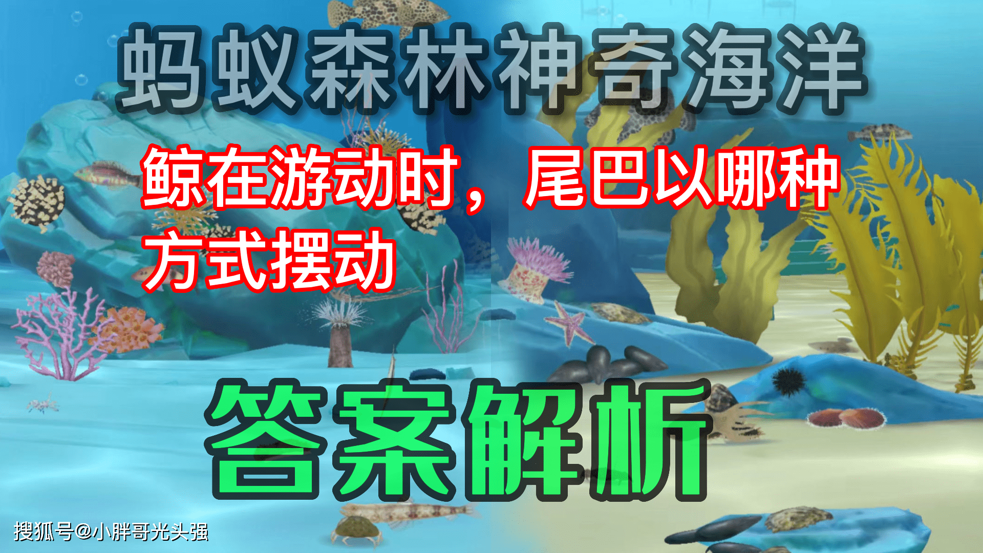 魔域魔兽森林在哪打（这都可以）魔域怀旧版魔兽森林技巧