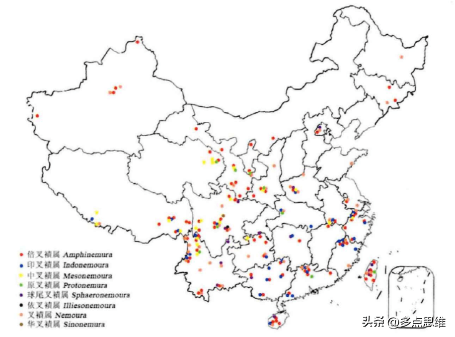 以胡歌与古天乐定名的新物种_胡古叉襀（ji）到底是什么物种？