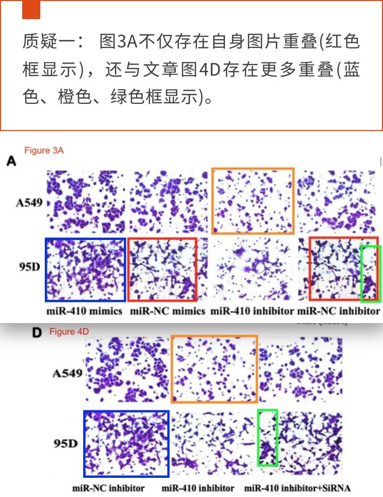 四川大学华西病院的两篇论文被量疑两年未更正，毕克博士犀利诘问