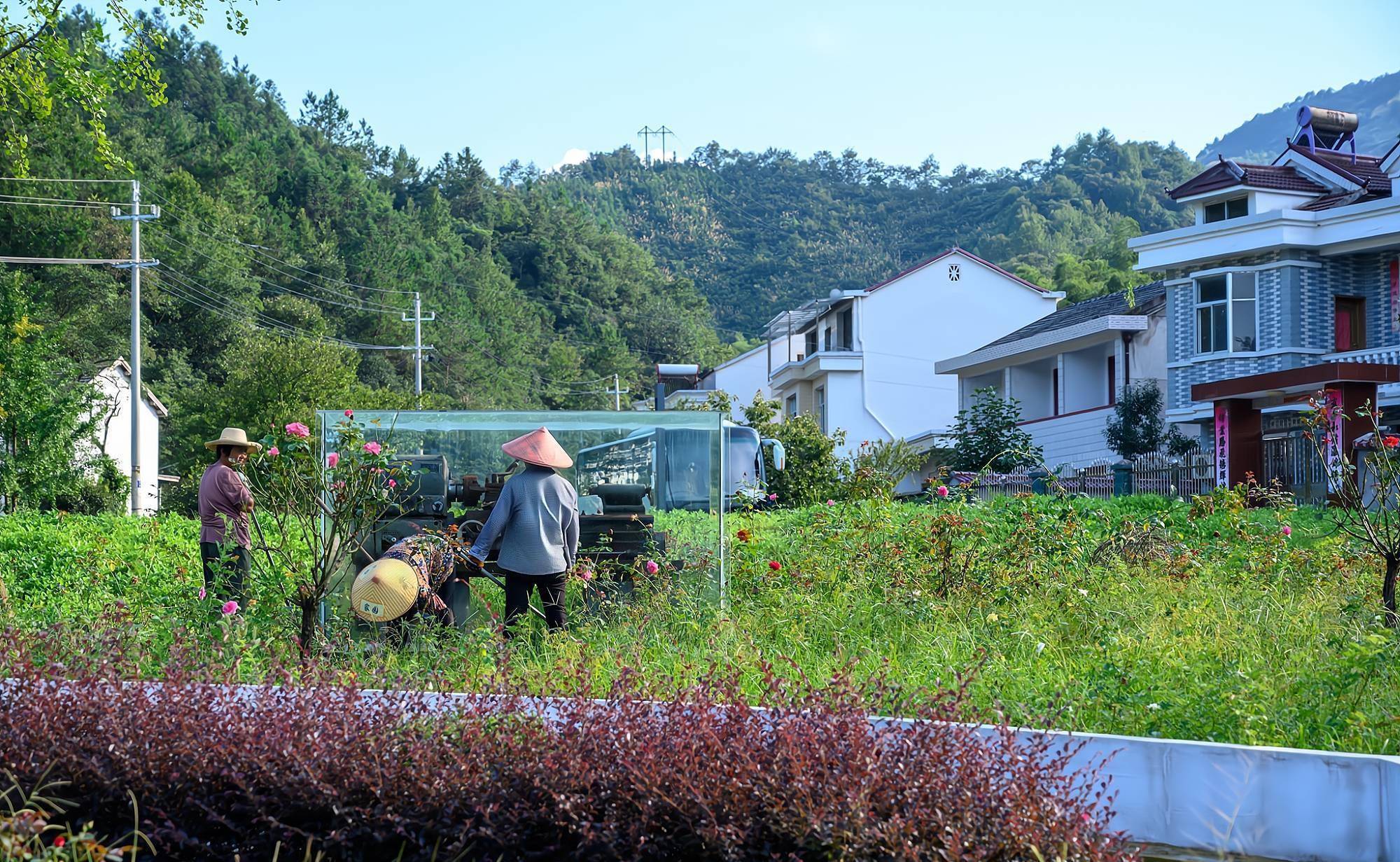 开云 开云体育APP安徽有个“作家村”深藏在茫茫大山中前身是上世纪的机械厂(图3)