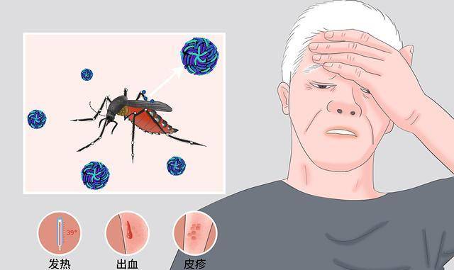 若是人类每年杀死那么多人，若是人类把蚊子都覆灭了会如何？