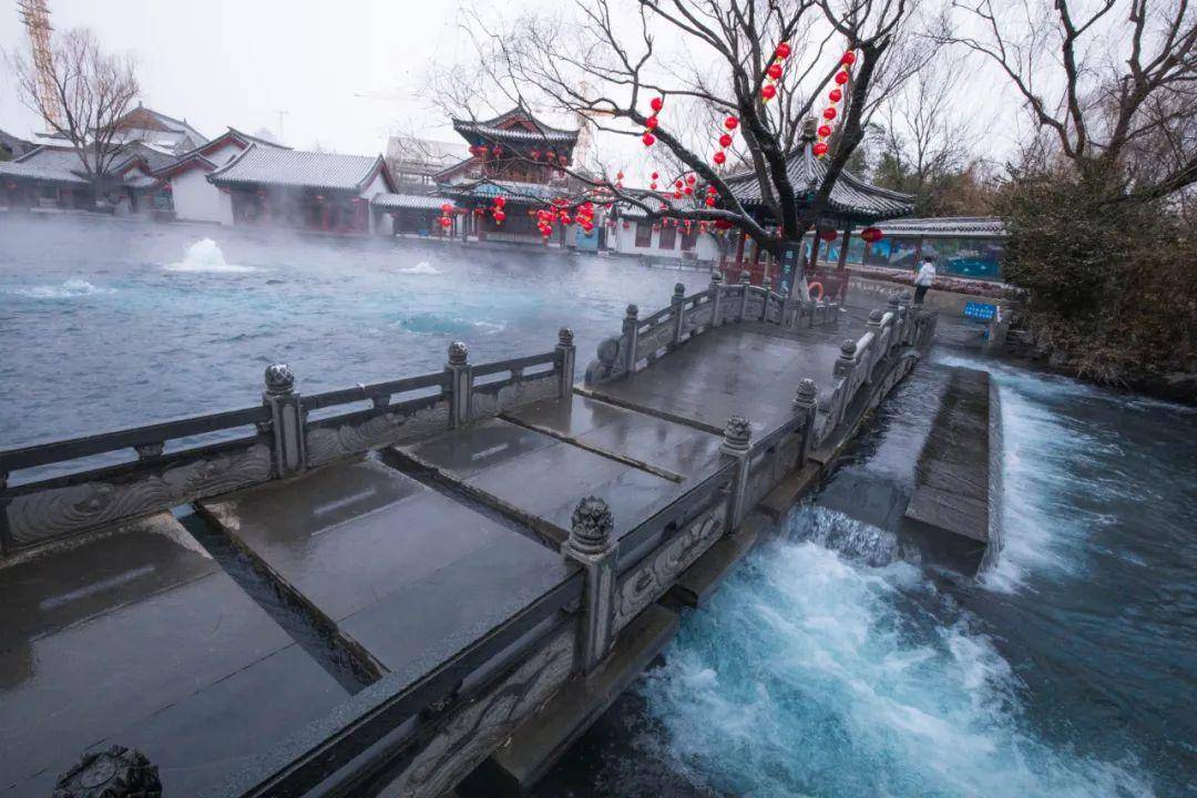 太便利了！家门口乘坐景区畅游专线去“小泉城”免费撸羊毛！