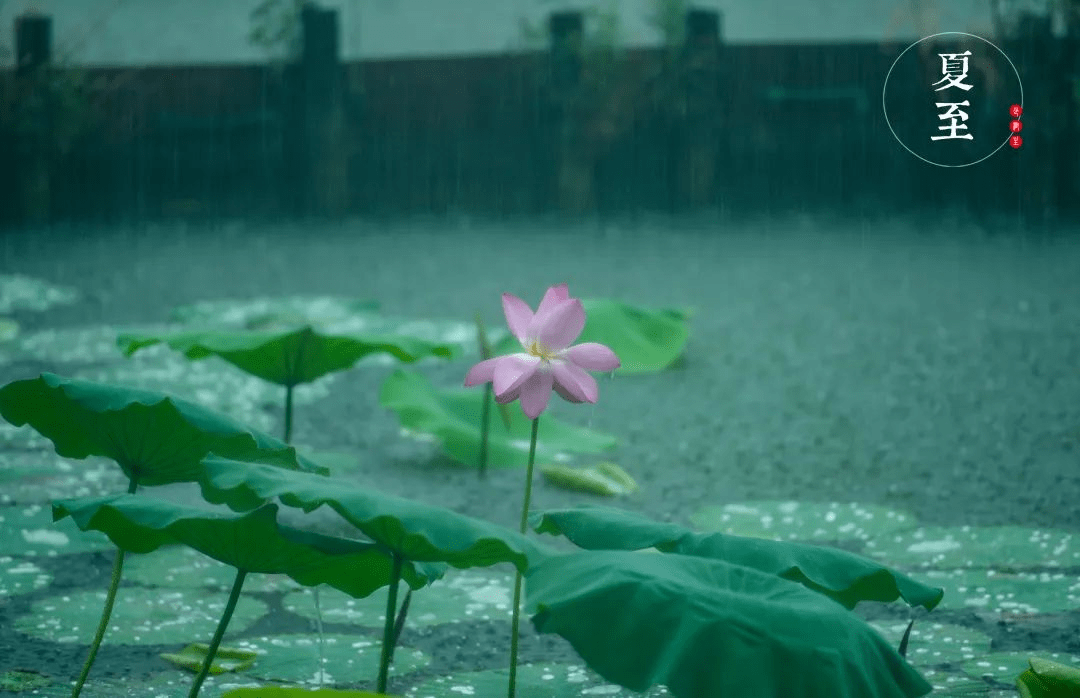 保藏！48张节气海报，12张日历，领略济南的春夏秋冬