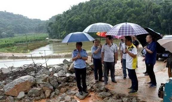 滿滿干貨（高陽縣8個片區拆遷）高陽縣土地局長違法案件，(圖1)