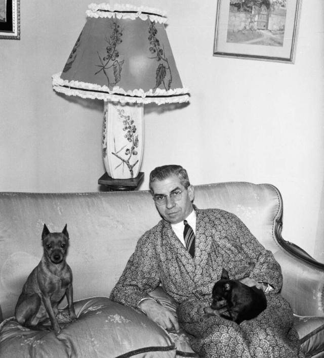 �����ǡ�¬����ŵ��Ӱ������Խ�ȶ��Ǵĵ������ڰ�̸�