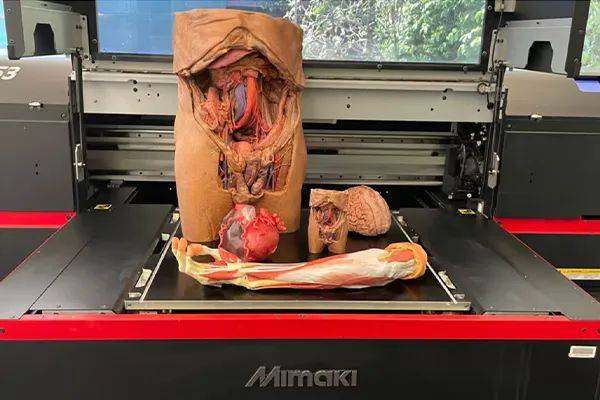 莫纳什大学利用Mimaki全彩3D打印机,实现传神人体剖解模子,为教育开拓新六合!