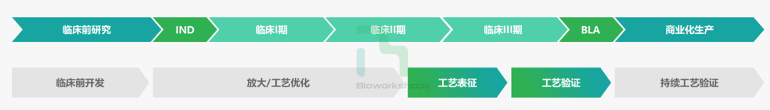 Bio-Share 工艺验证 | 工艺验证的支持性研究【上】