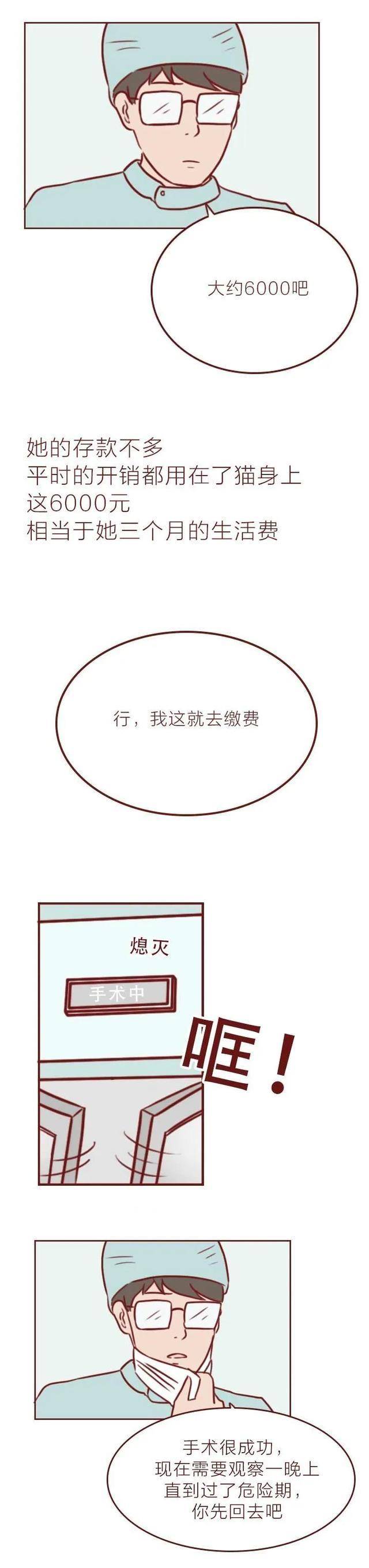 短篇漫画《宠物病院》，看完最初一个故事，你会觉得前两个很挖苦