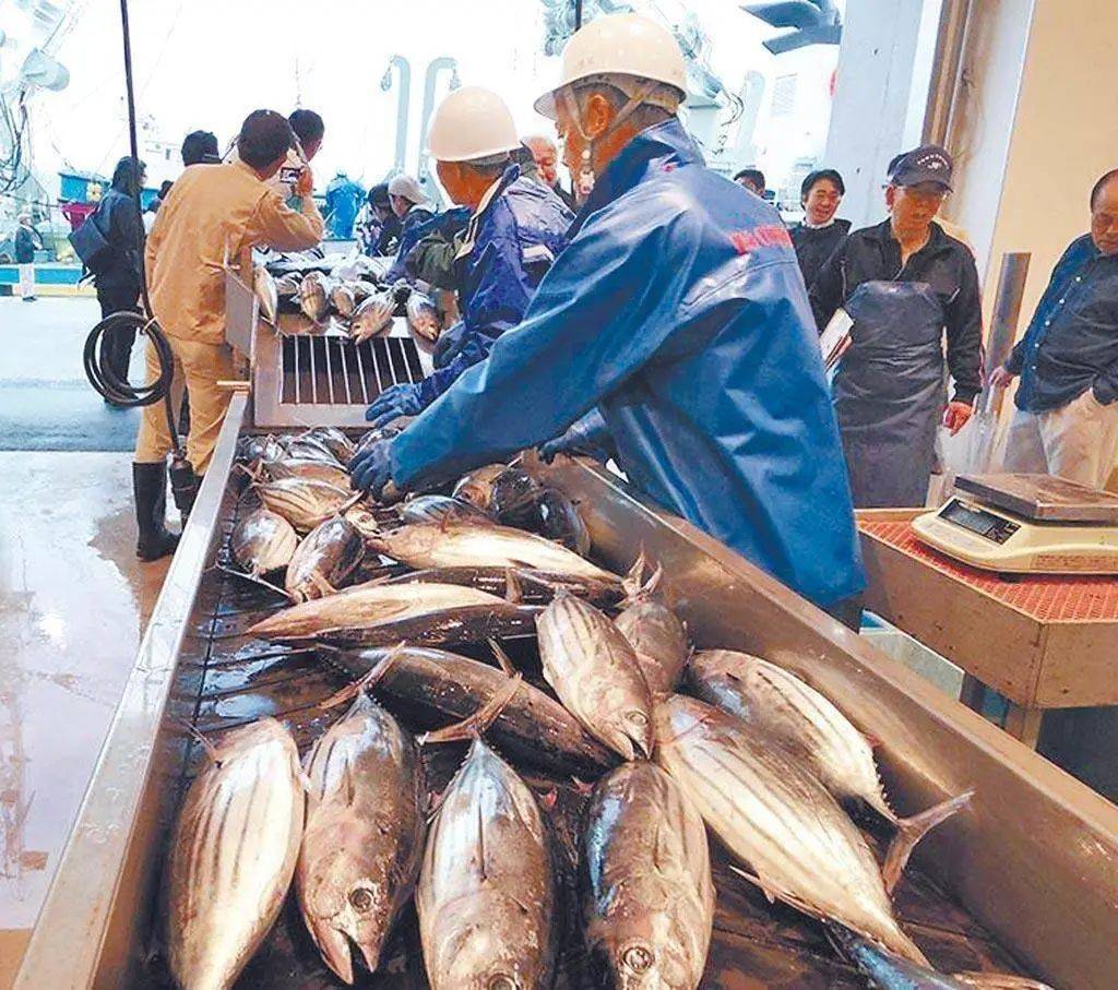 大陆愿协助解禁台农渔产物，台当局立场软化，同意陆对台官员访台